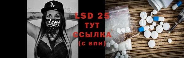 хмурый Бородино