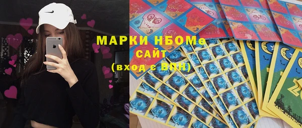 хмурый Бородино