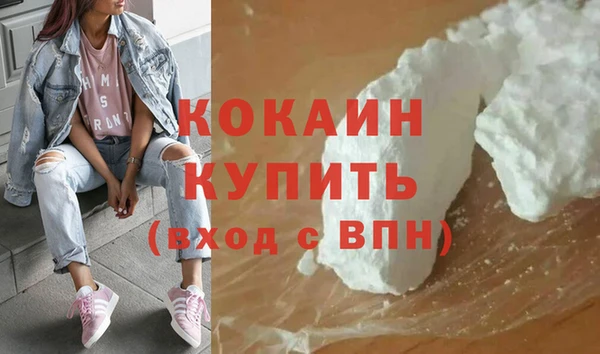 хмурый Бородино